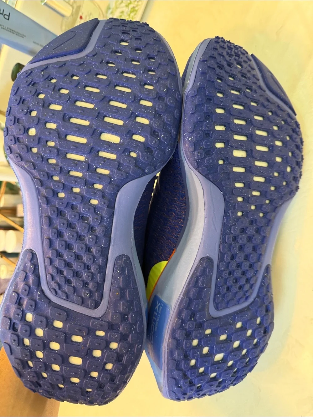NWT Nike Women’s Invincible Run 3 running shoes